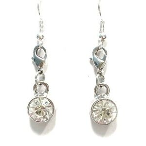 Elegant Silver Drop Earrings